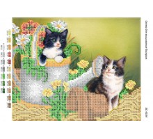 БС-4104  Котики