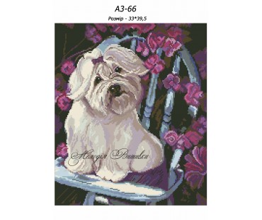 Картина А3-66 Болонка