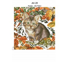 Картина А4-39 Кошеня