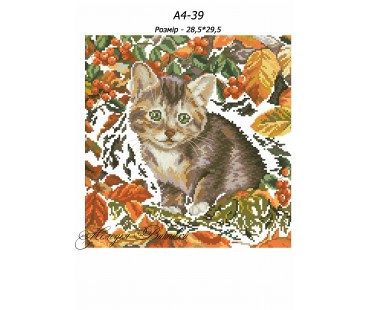 Картина А4-39 Кошеня