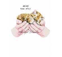 Картина А4-43 Кошеня