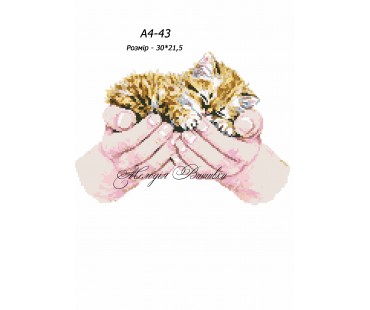 Картина А4-43 Кошеня