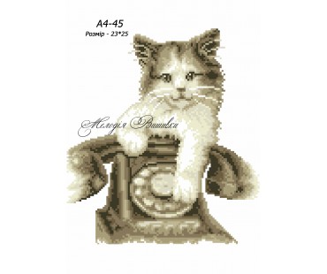 Картина А4-45 Кошеня