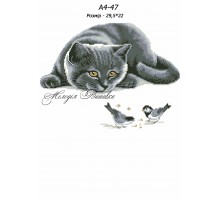 Картина А4-47 Кіт