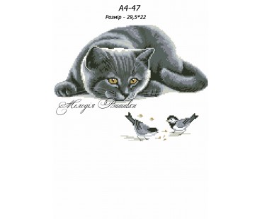 Картина А4-47 Кіт