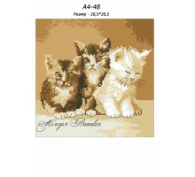 Картина А4-48 Коти
