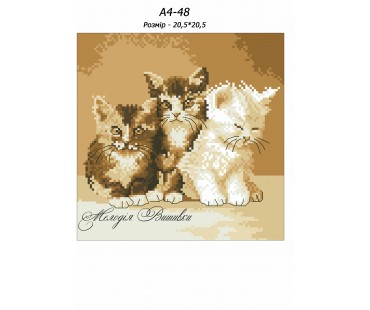 Картина А4-48 Коти